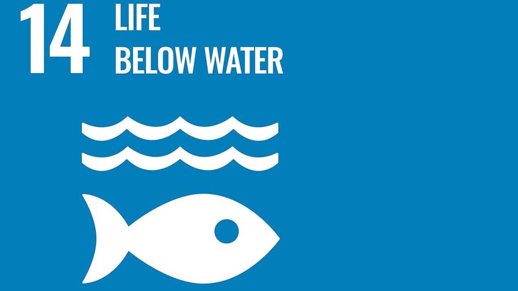 Sustainable Development Goal logo 14 - Life Below Water