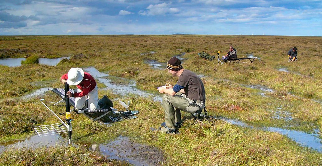 Two researchers in a wetland doing experiments