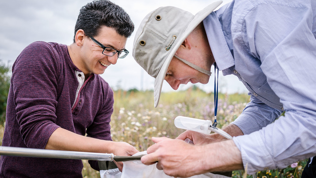 Sustainability researchers conducting research in a field