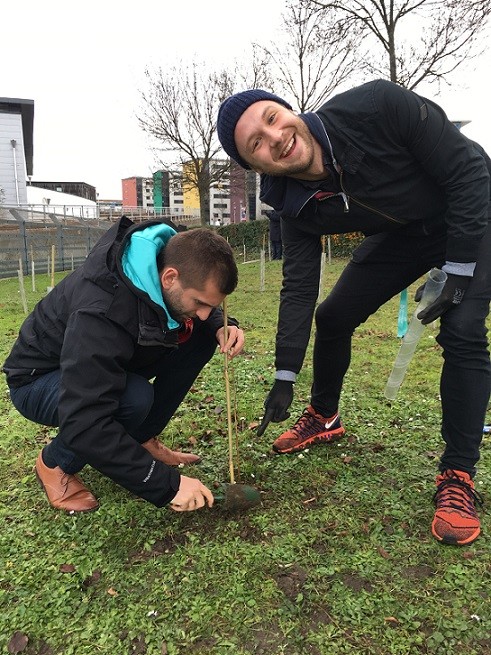 Two men planting a tree