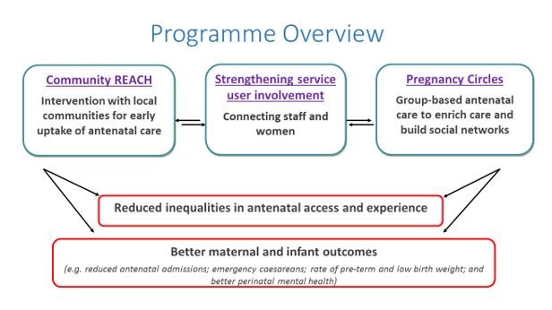 Reach Programme Overview