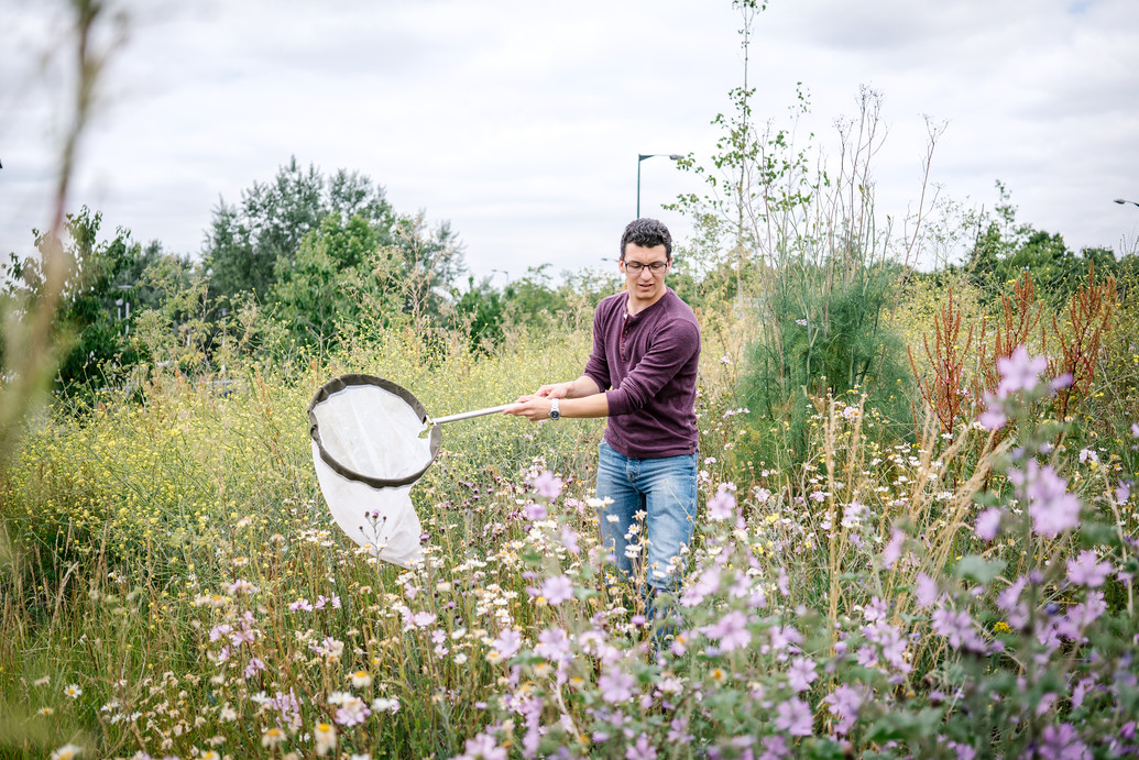 An image of Jack Clough in a field. He is holding a large net and is surrounded by tall grass and flowers.