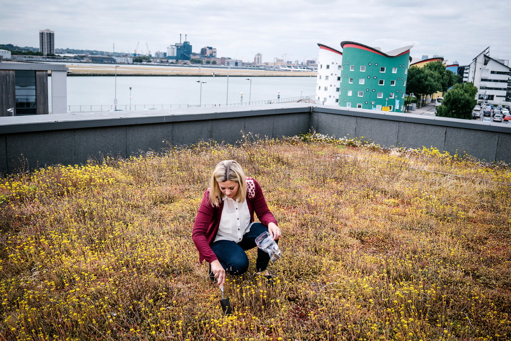 A landscape image of a woman on a rooftop grass and flowers