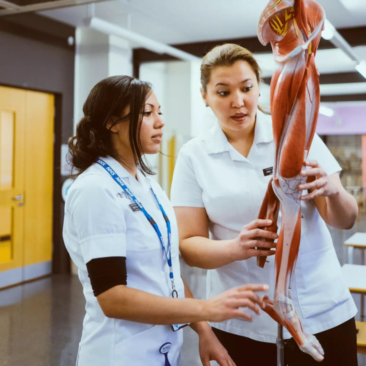Two podiatry students examining a plastic leg